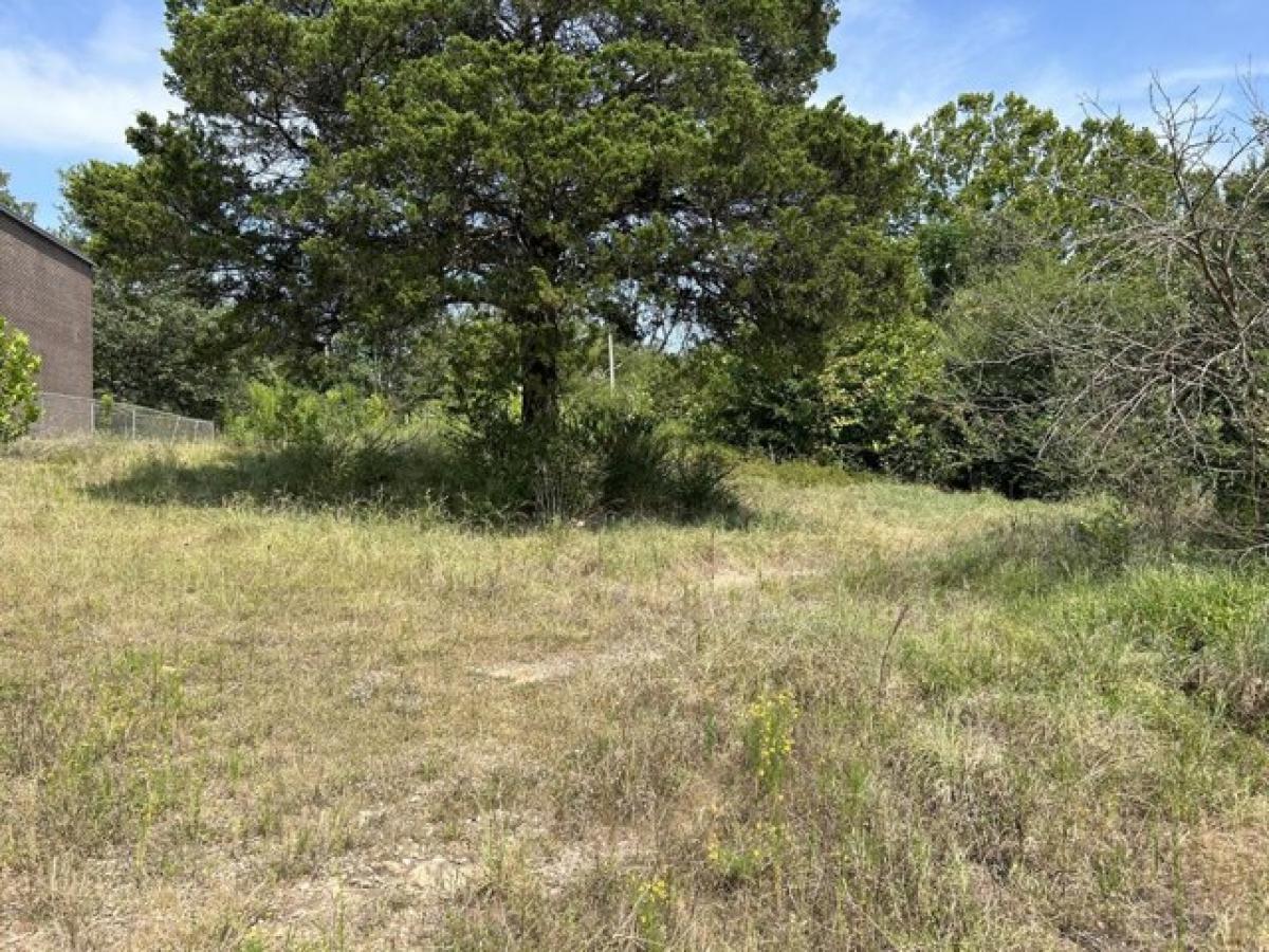 Picture of Residential Land For Sale in Hartman, Arkansas, United States