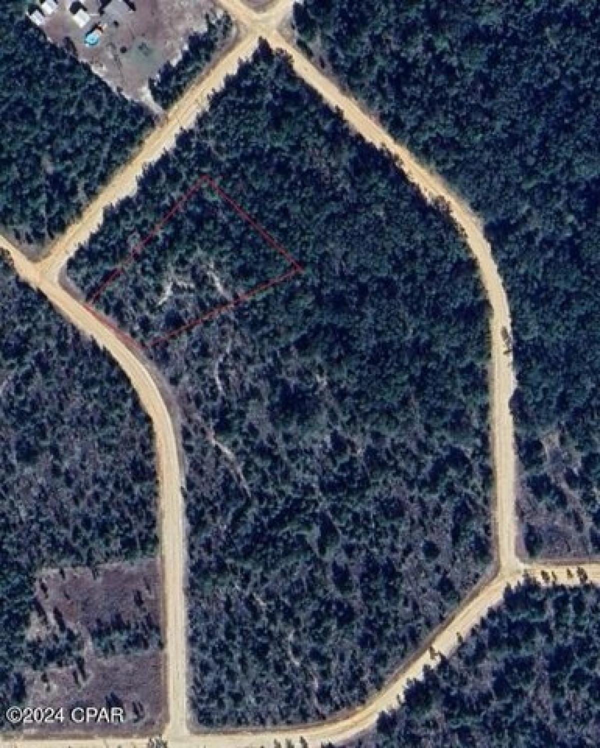 Picture of Residential Land For Sale in Marianna, Florida, United States