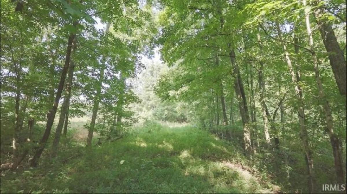 Picture of Residential Land For Sale in Bedford, Indiana, United States