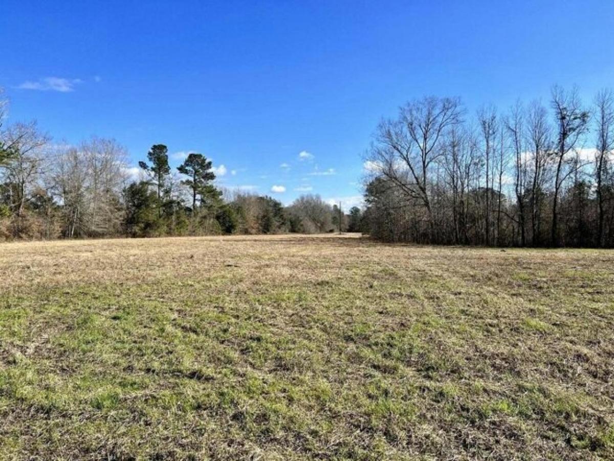 Picture of Residential Land For Sale in Bonneau, South Carolina, United States