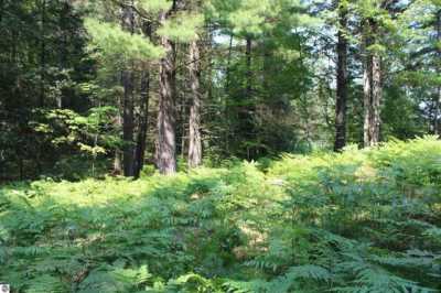 Residential Land For Sale in Fife Lake, Michigan