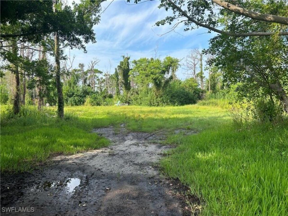 Picture of Residential Land For Sale in Saint James City, Florida, United States