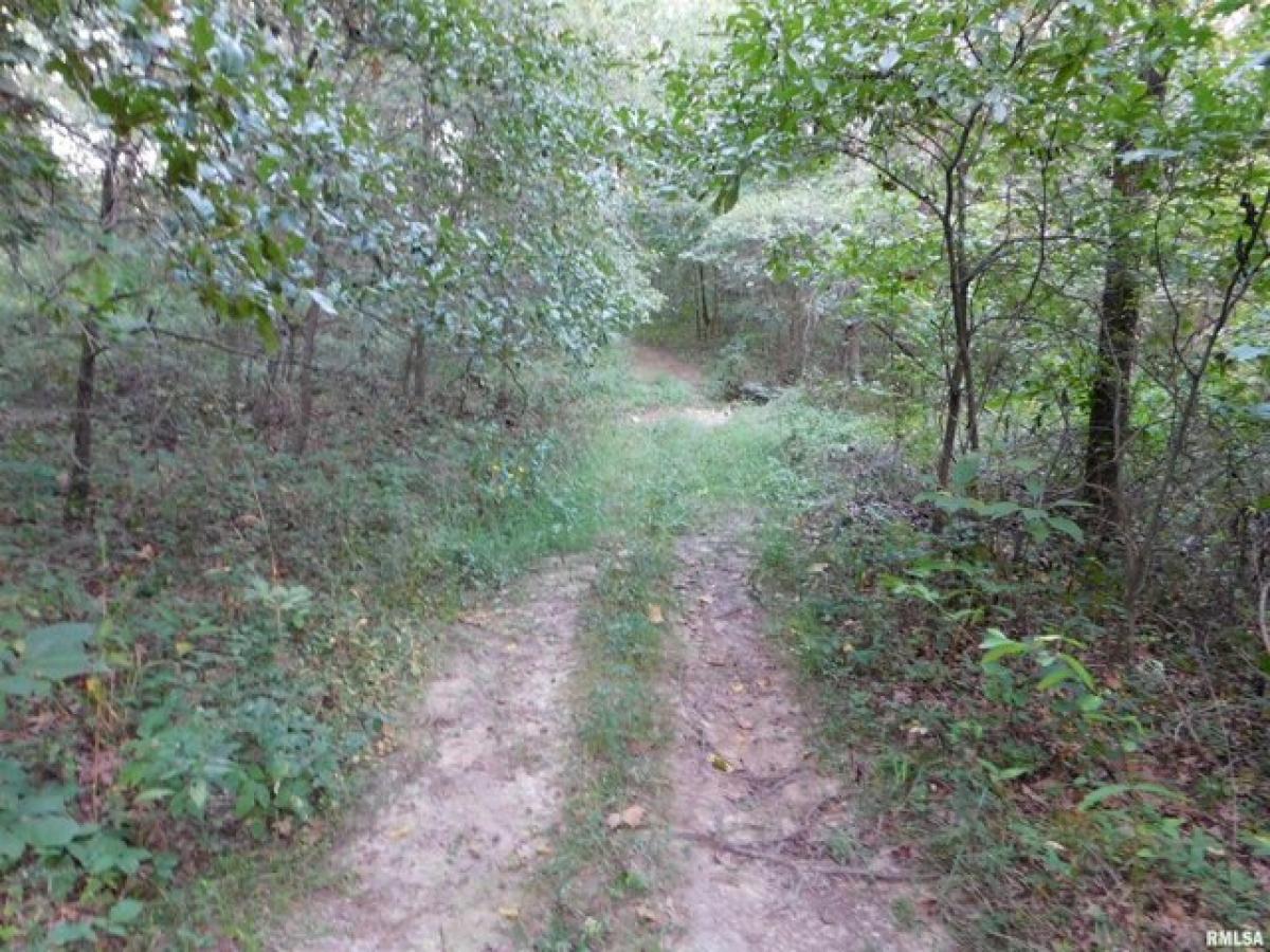 Picture of Residential Land For Sale in Iuka, Illinois, United States