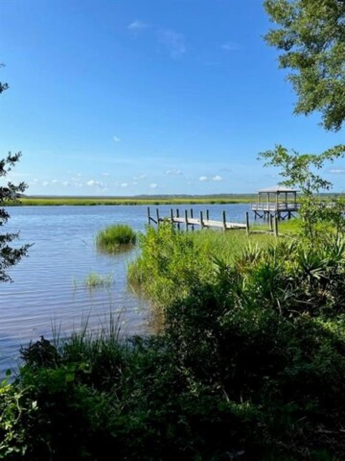 Picture of Residential Land For Sale in Brunswick, Georgia, United States