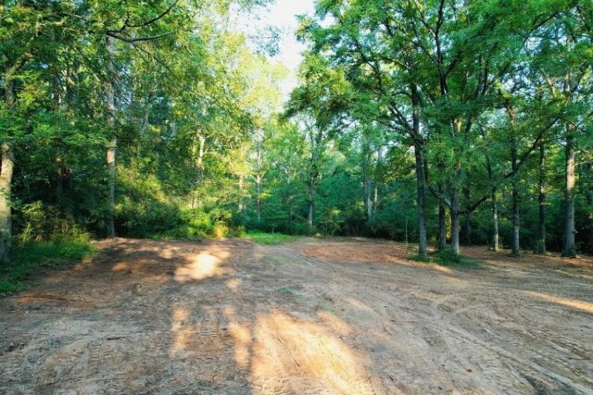 Picture of Residential Land For Sale in Lufkin, Texas, United States