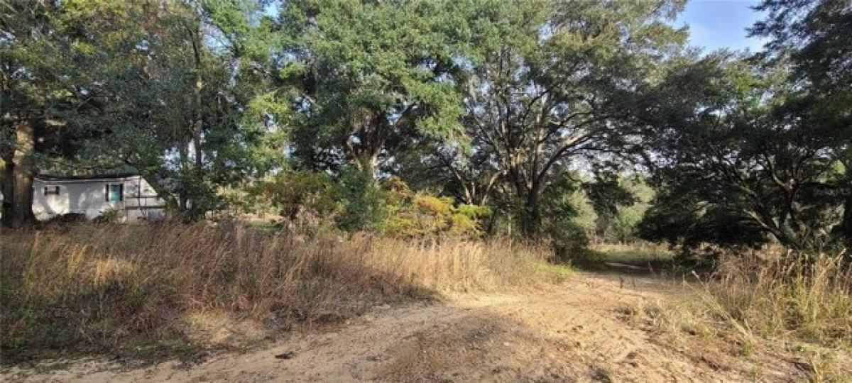 Picture of Residential Land For Sale in Umatilla, Florida, United States