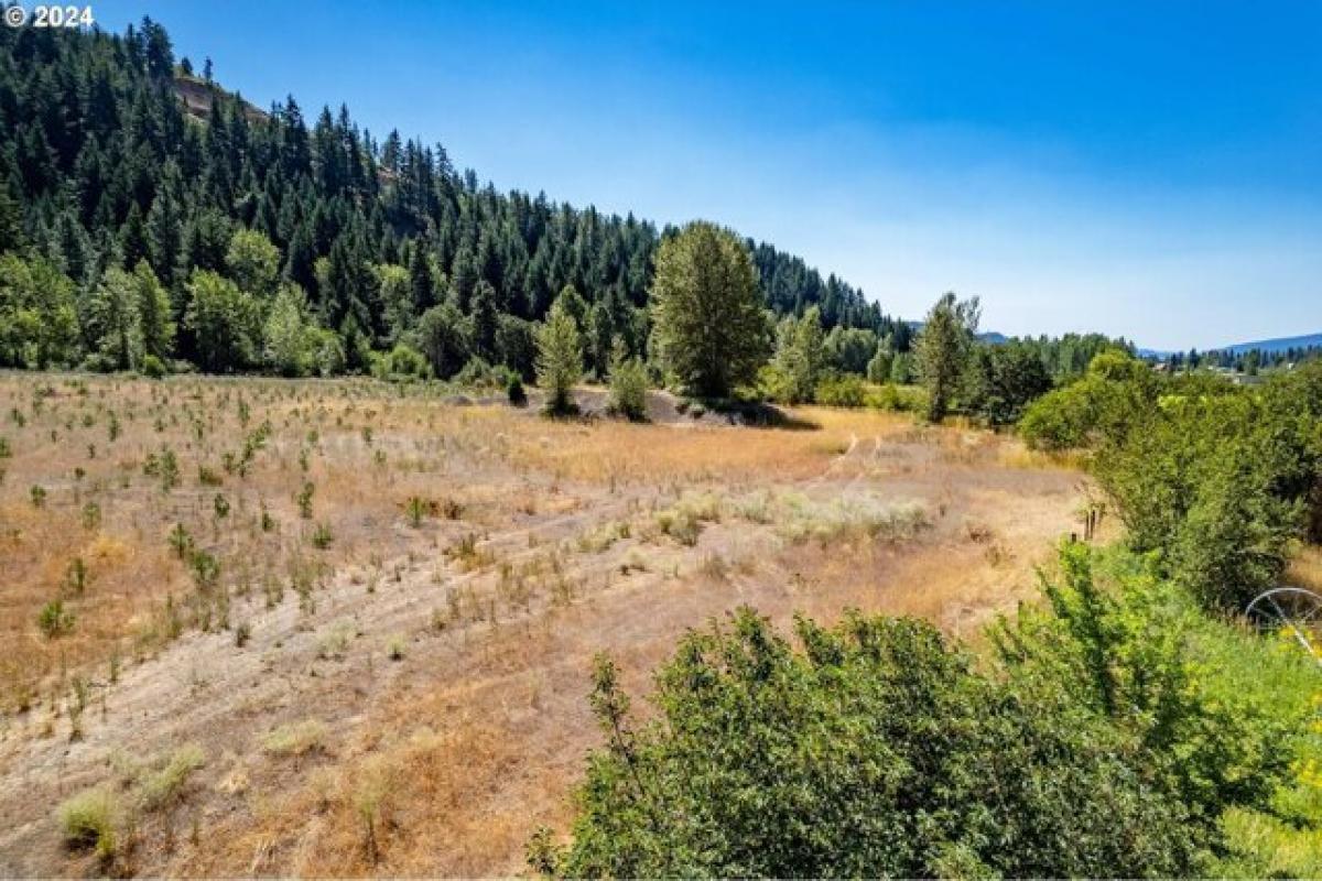 Picture of Residential Land For Sale in Trout Lake, Washington, United States