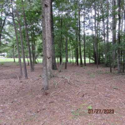 Residential Land For Sale in 