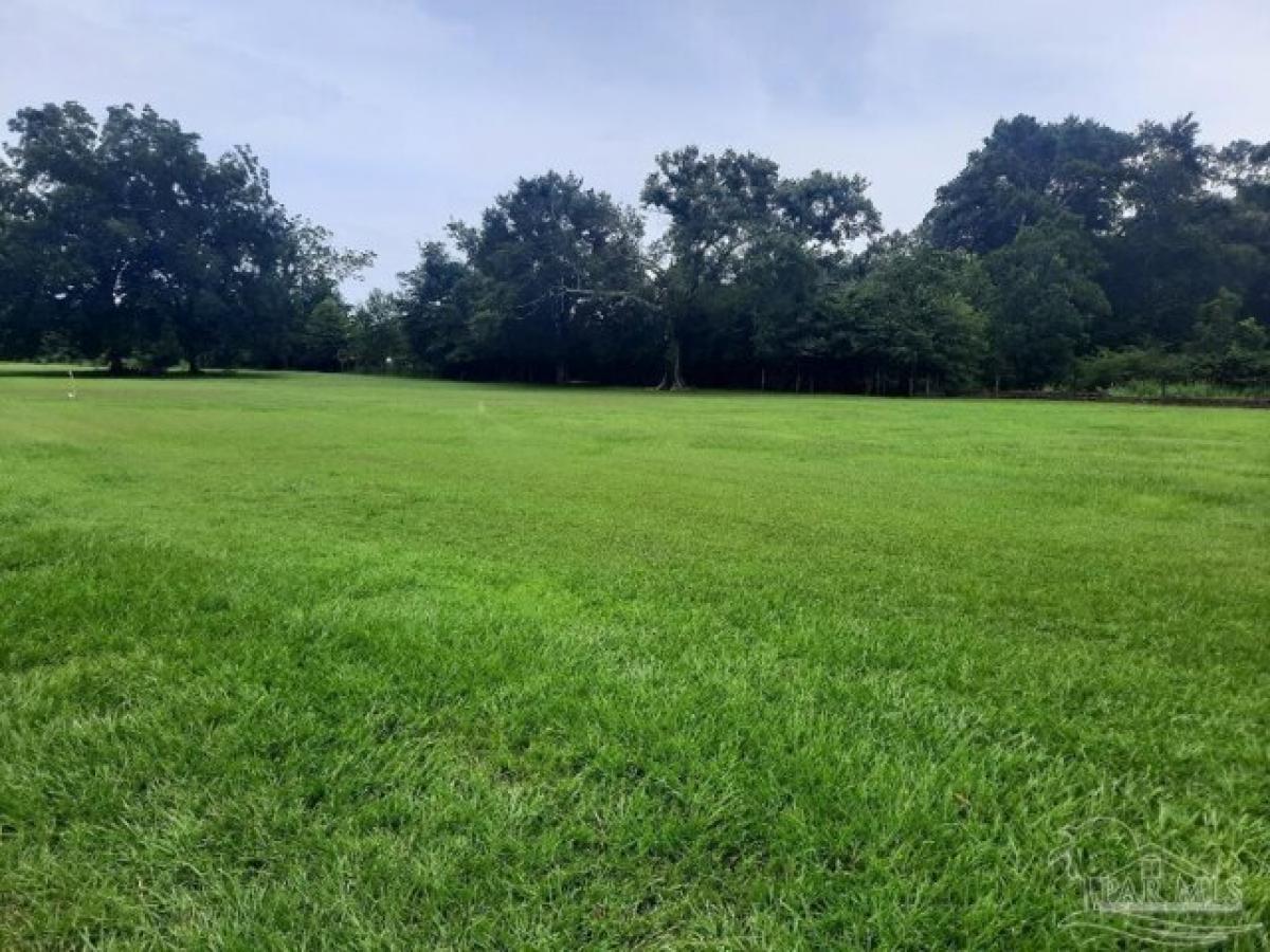 Picture of Residential Land For Sale in Molino, Florida, United States