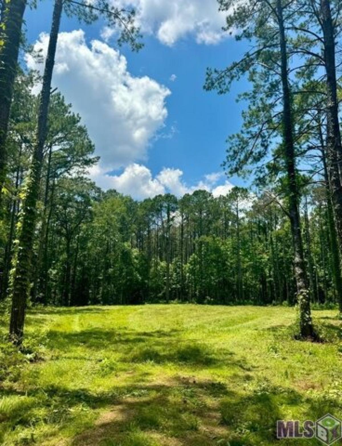 Picture of Residential Land For Sale in Meadville, Mississippi, United States