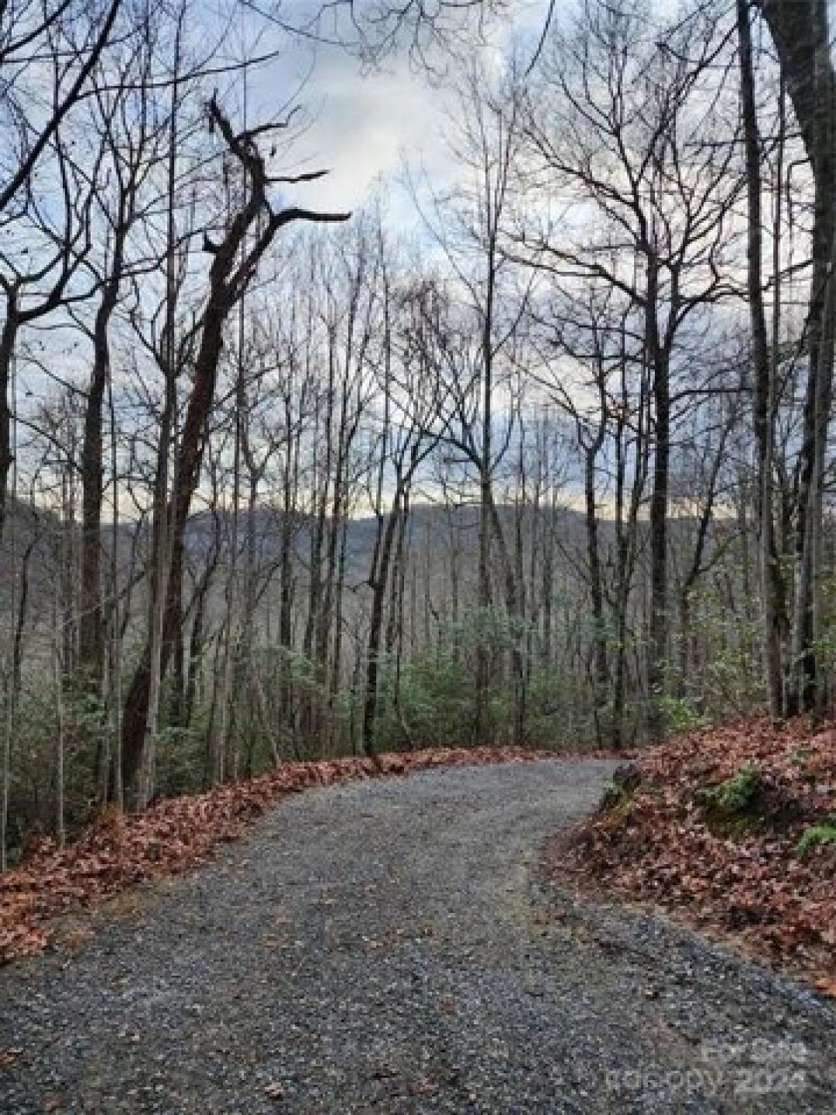 Picture of Residential Land For Sale in Brevard, North Carolina, United States