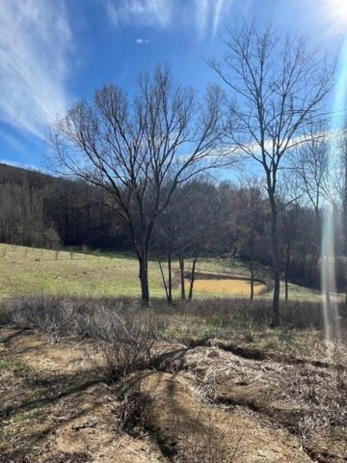 Picture of Residential Land For Sale in Whitwell, Tennessee, United States