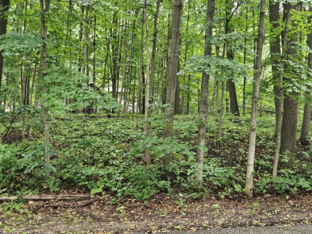 Picture of Residential Land For Sale in Muskego, Wisconsin, United States