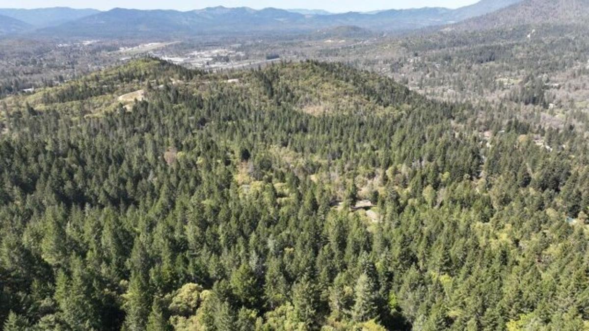 Picture of Residential Land For Sale in Grants Pass, Oregon, United States