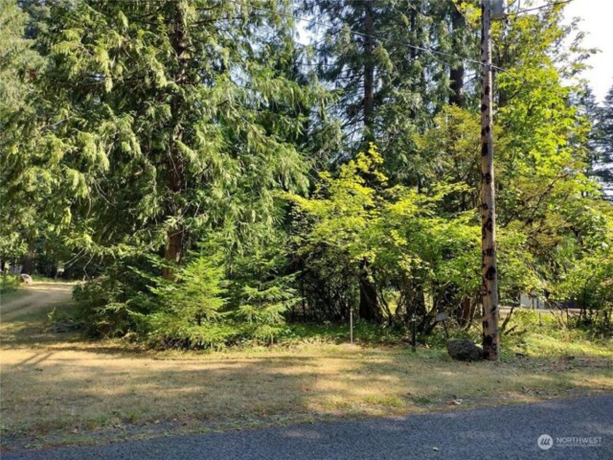 Picture of Residential Land For Sale in Packwood, Washington, United States