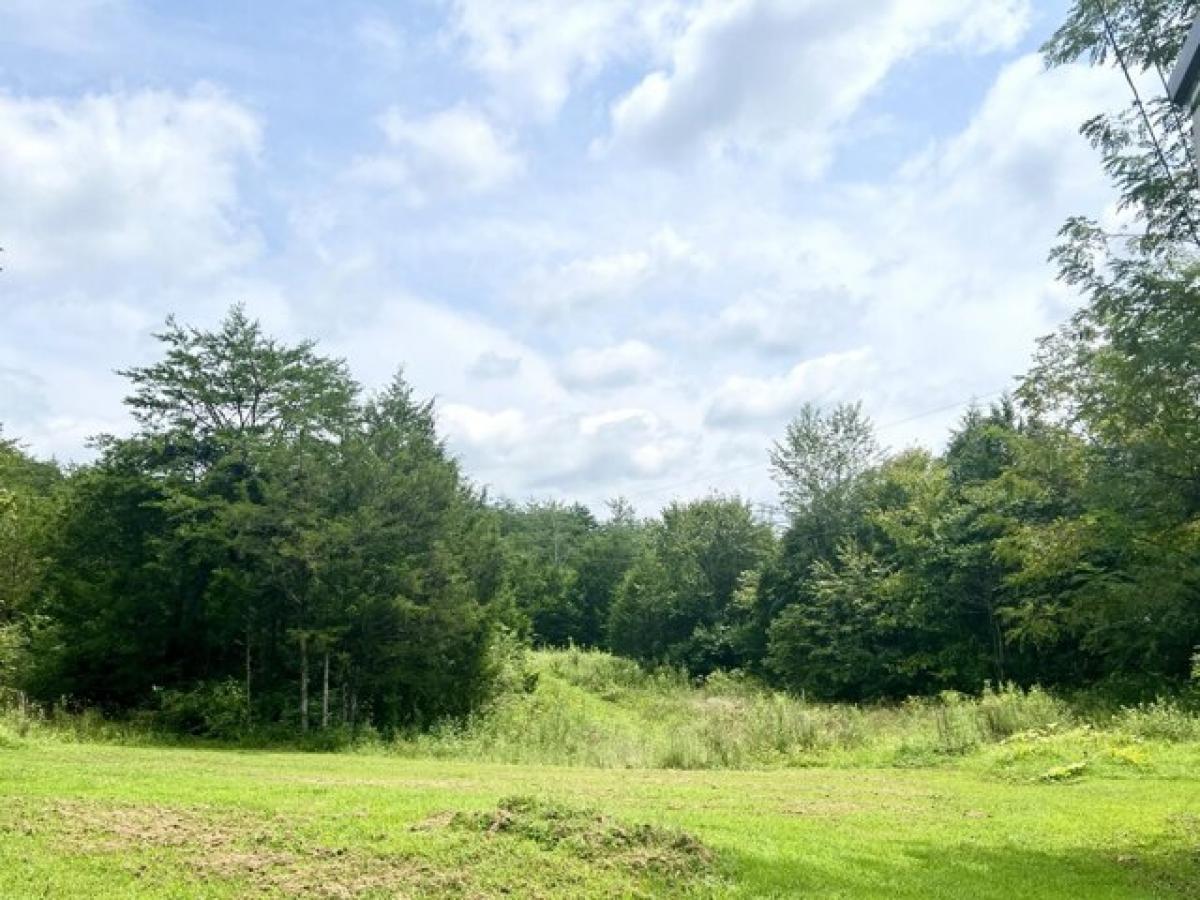 Picture of Residential Land For Sale in Burnside, Kentucky, United States