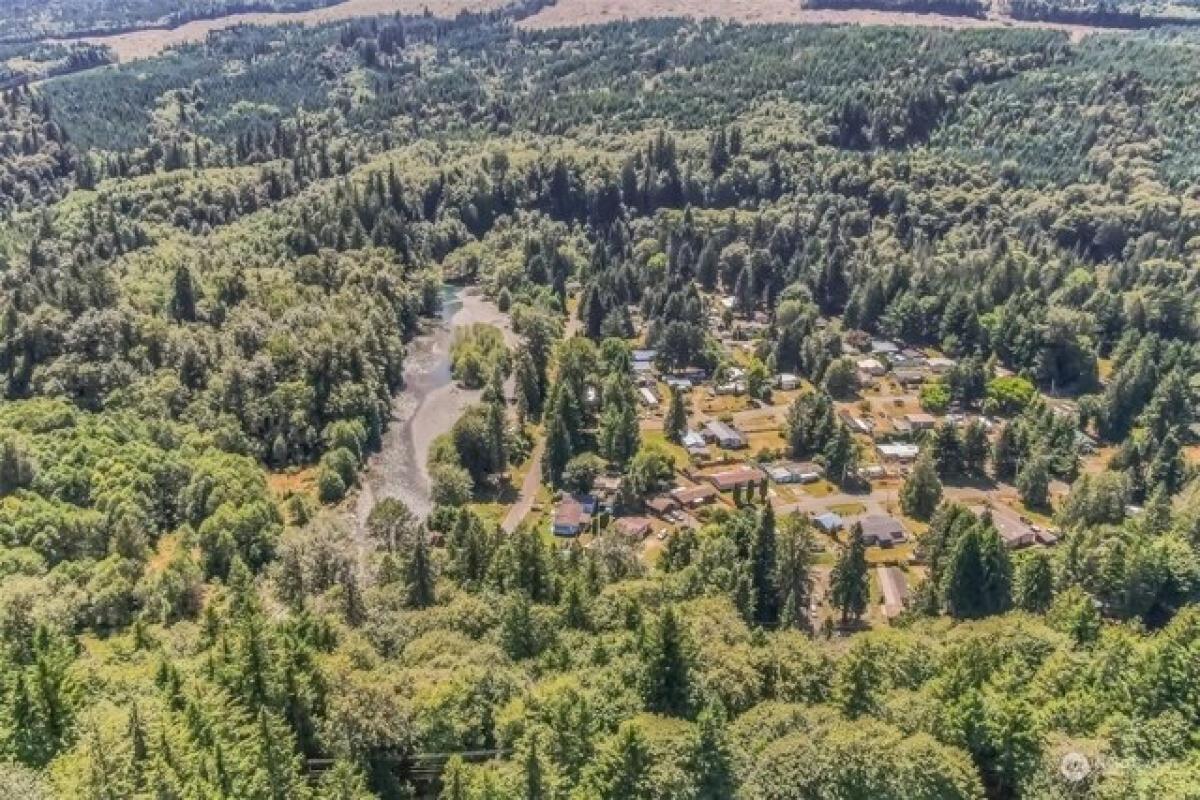 Picture of Residential Land For Sale in Brinnon, Washington, United States