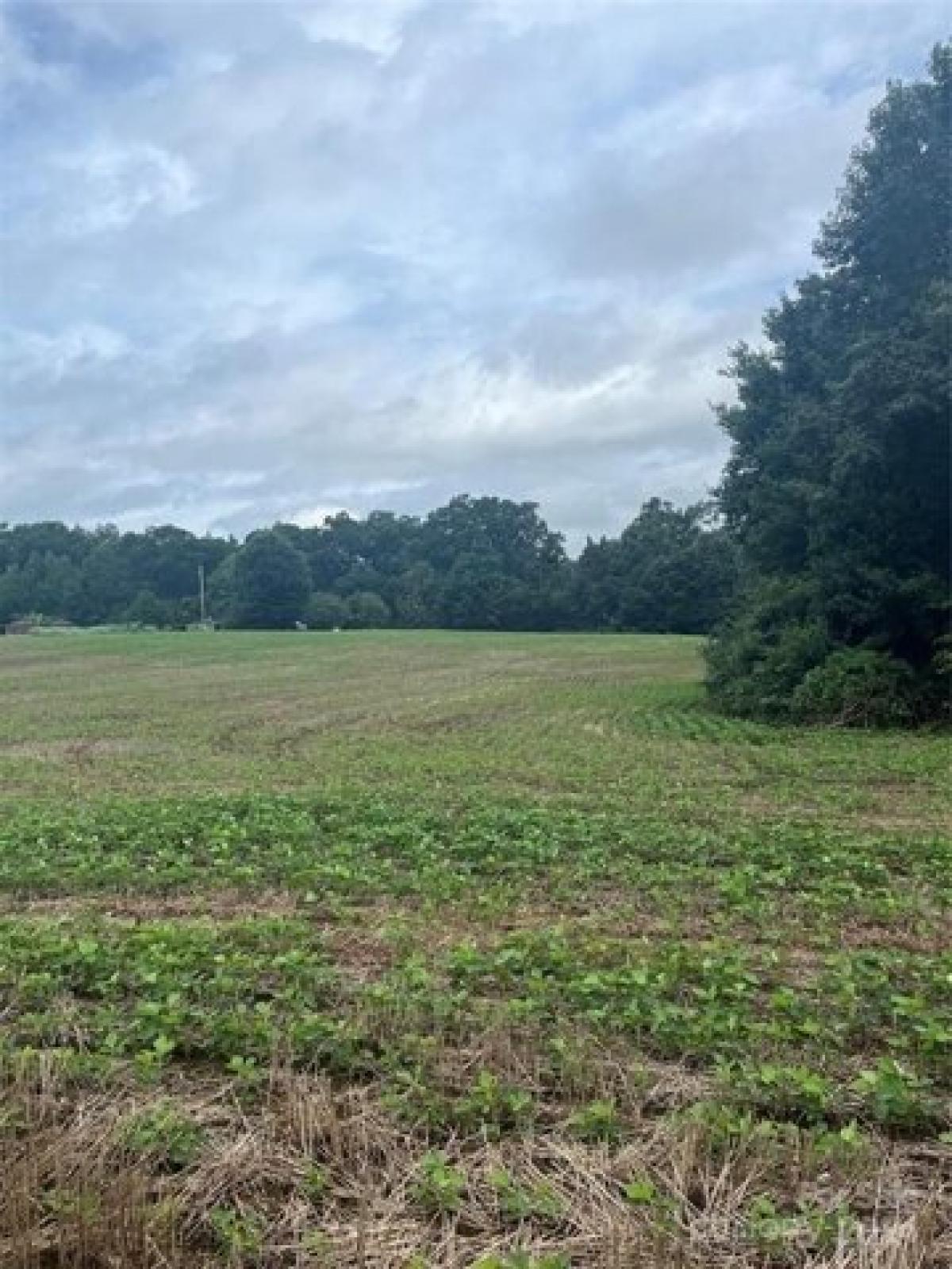 Picture of Residential Land For Sale in Norwood, North Carolina, United States