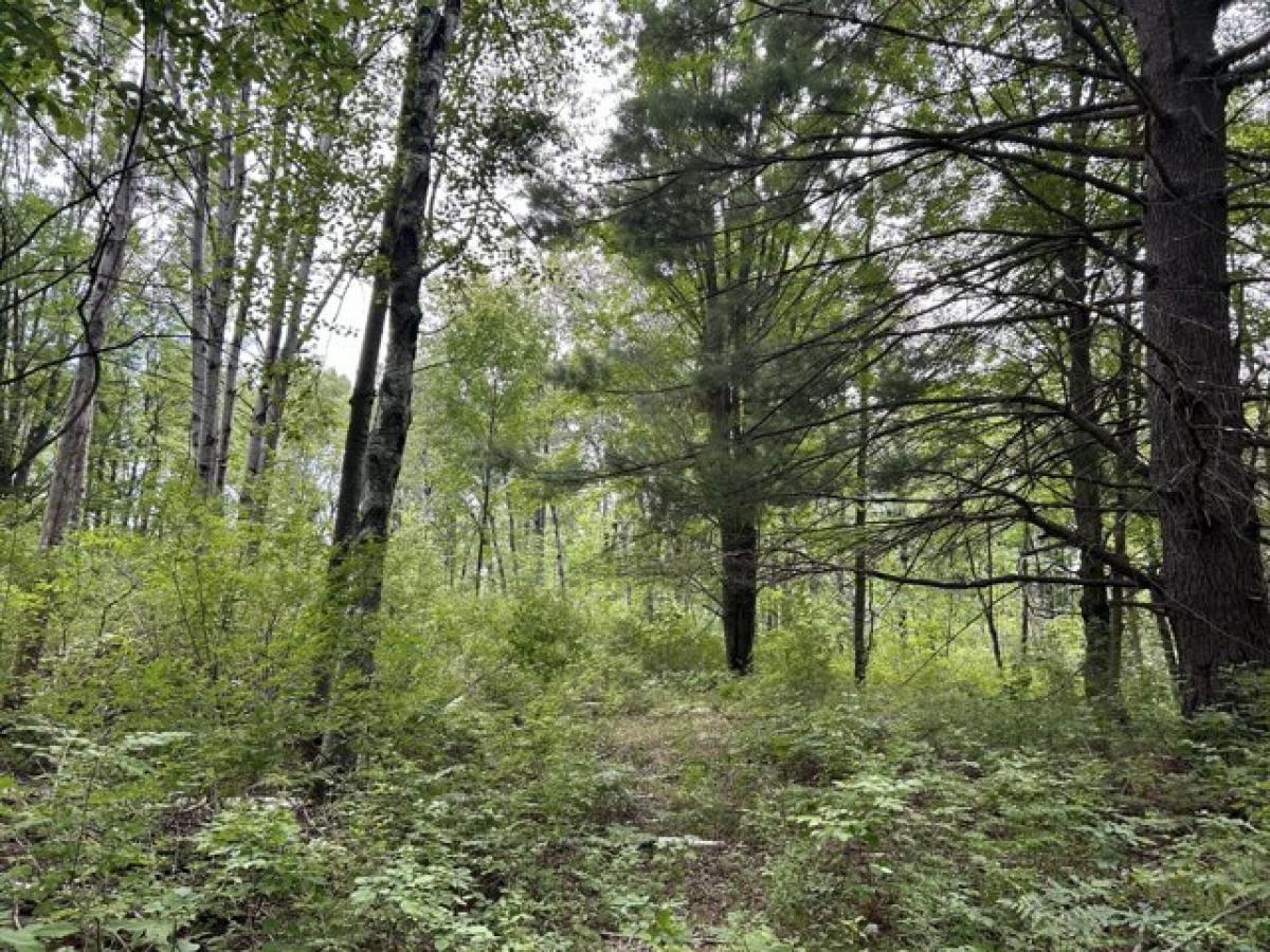 Picture of Residential Land For Sale in Remus, Michigan, United States