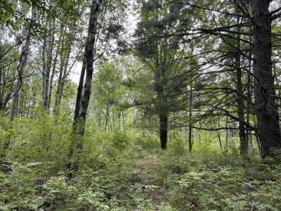 Residential Land For Sale in Remus, Michigan