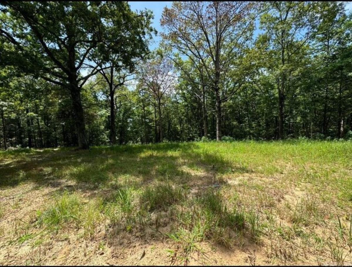 Picture of Residential Land For Sale in Clinton, Arkansas, United States