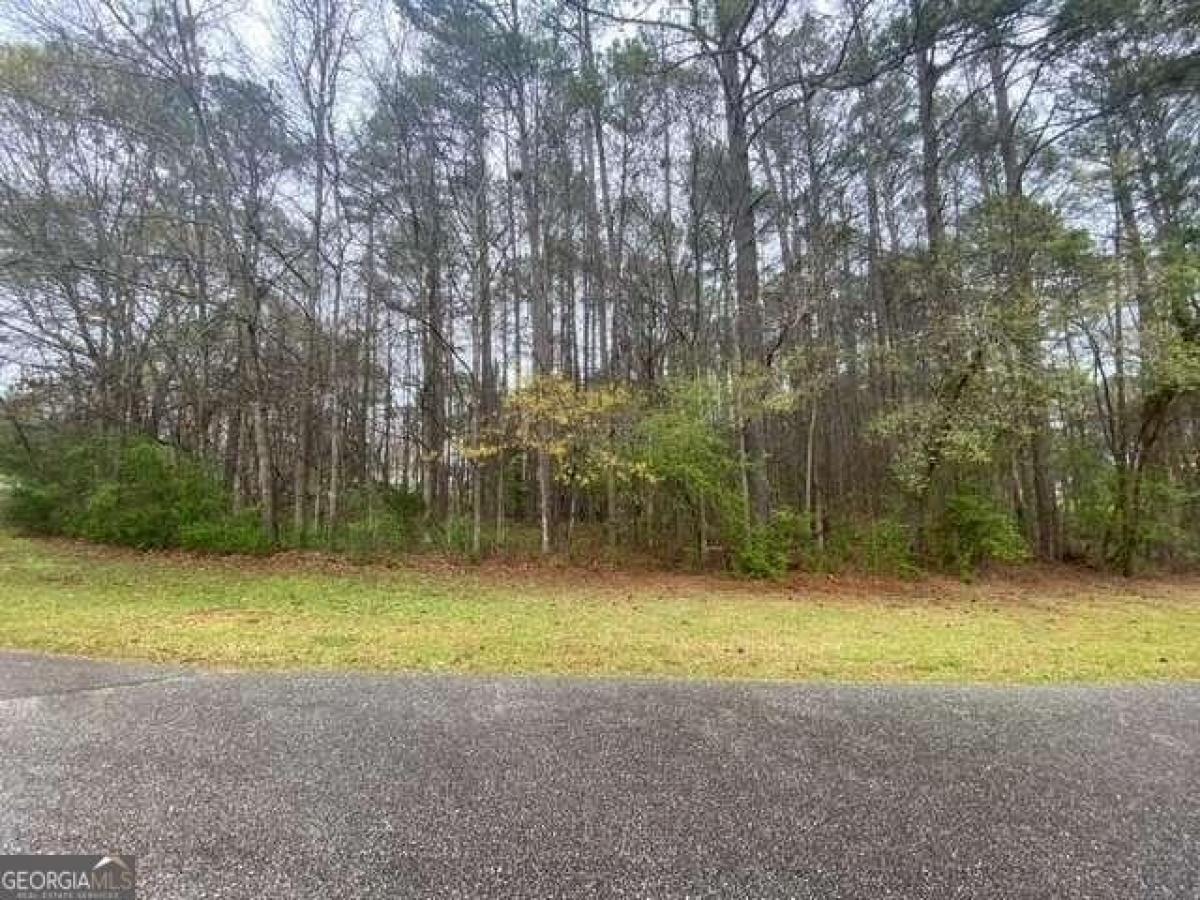 Picture of Residential Land For Sale in Griffin, Georgia, United States