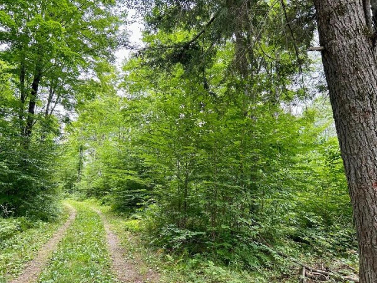 Picture of Home For Sale in Argonne, Wisconsin, United States