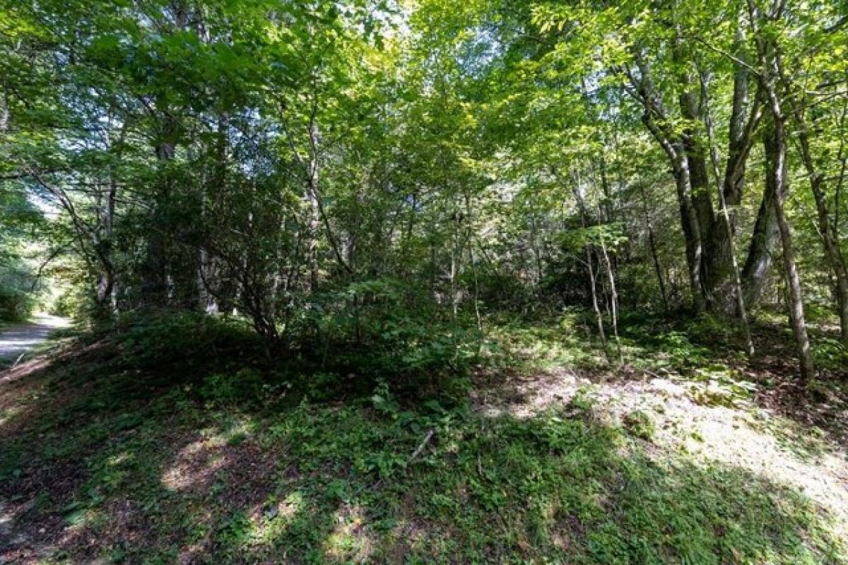 Picture of Residential Land For Sale in Cullowhee, North Carolina, United States