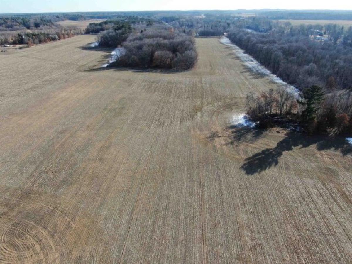 Picture of Residential Land For Sale in Adams, Wisconsin, United States