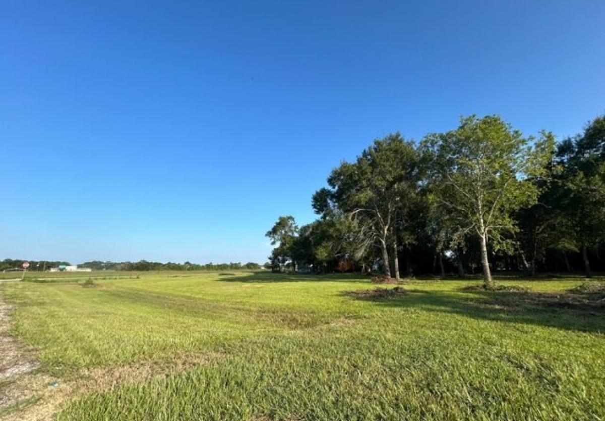 Picture of Residential Land For Sale in Anahuac, Texas, United States