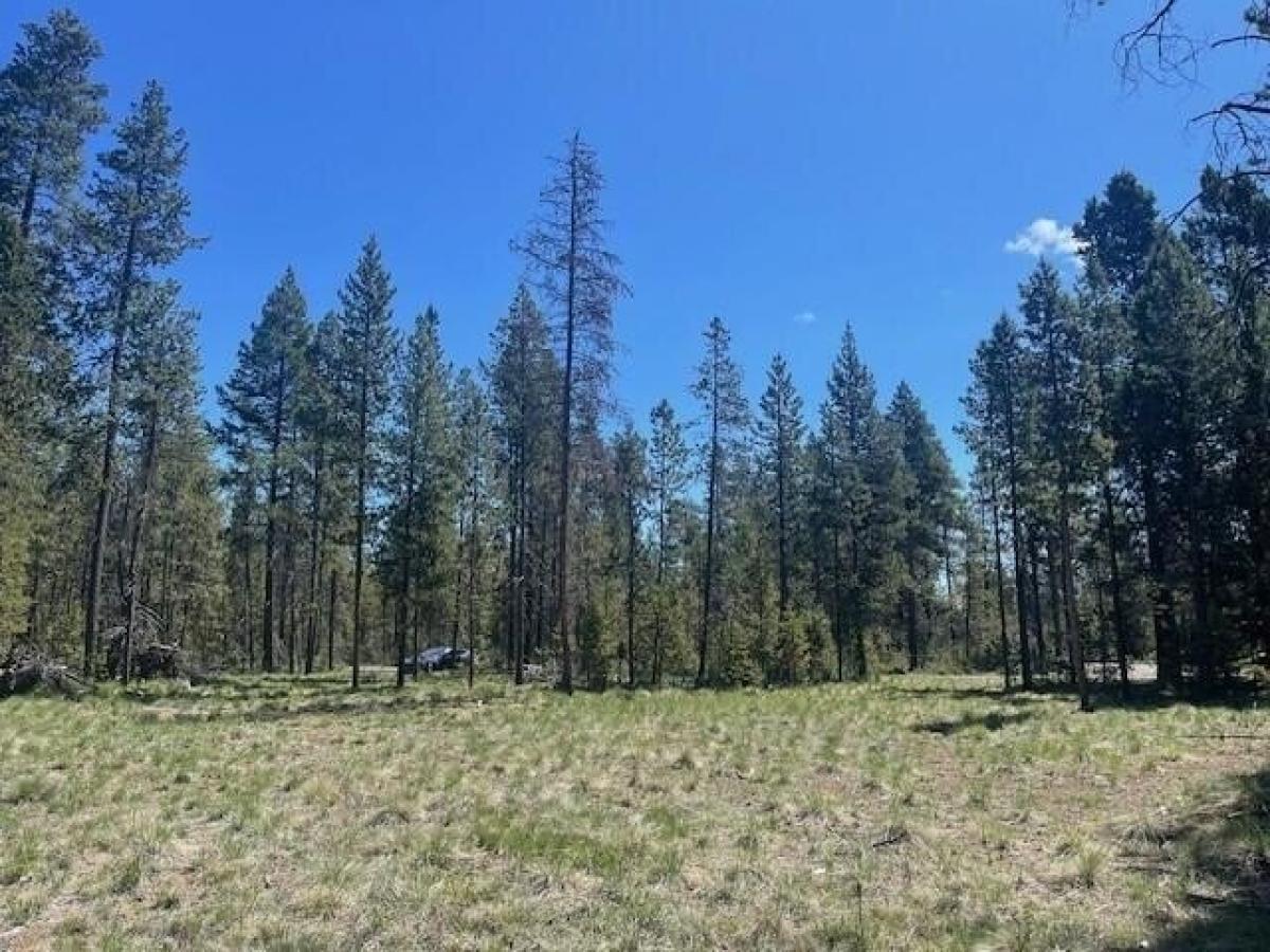 Picture of Residential Land For Sale in Bend, Oregon, United States