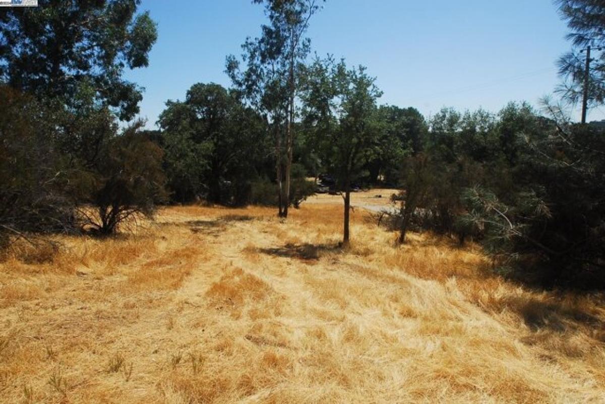 Picture of Residential Land For Sale in Cameron Park, California, United States