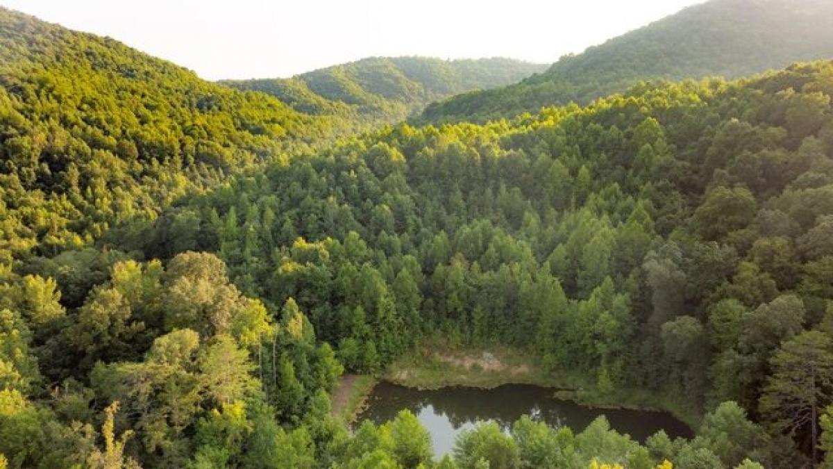 Picture of Residential Land For Sale in Jellico, Tennessee, United States