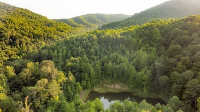 Residential Land For Sale in Jellico, Tennessee