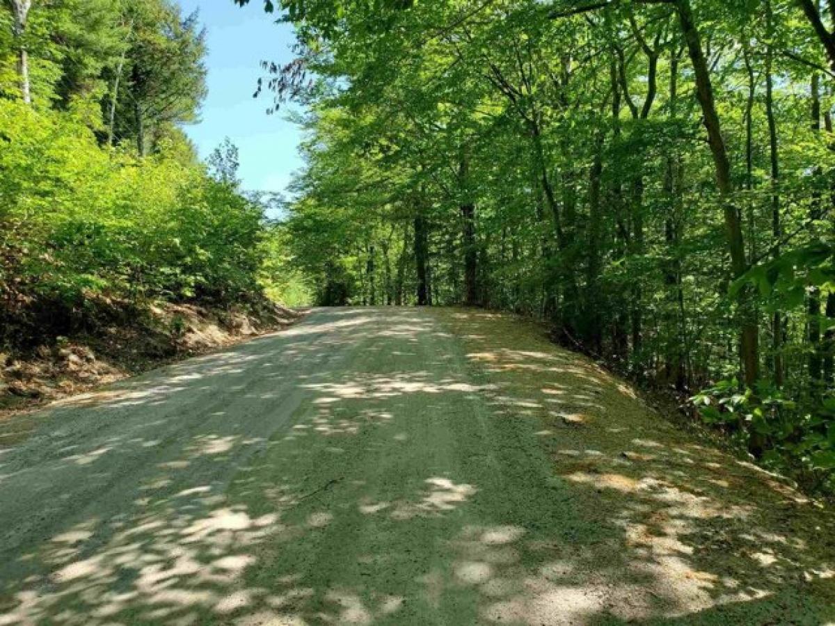 Picture of Residential Land For Sale in Madison, New Hampshire, United States