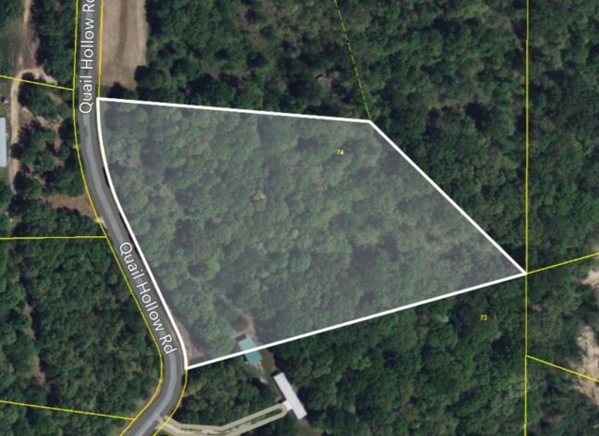 Picture of Residential Land For Sale in Summertown, Tennessee, United States