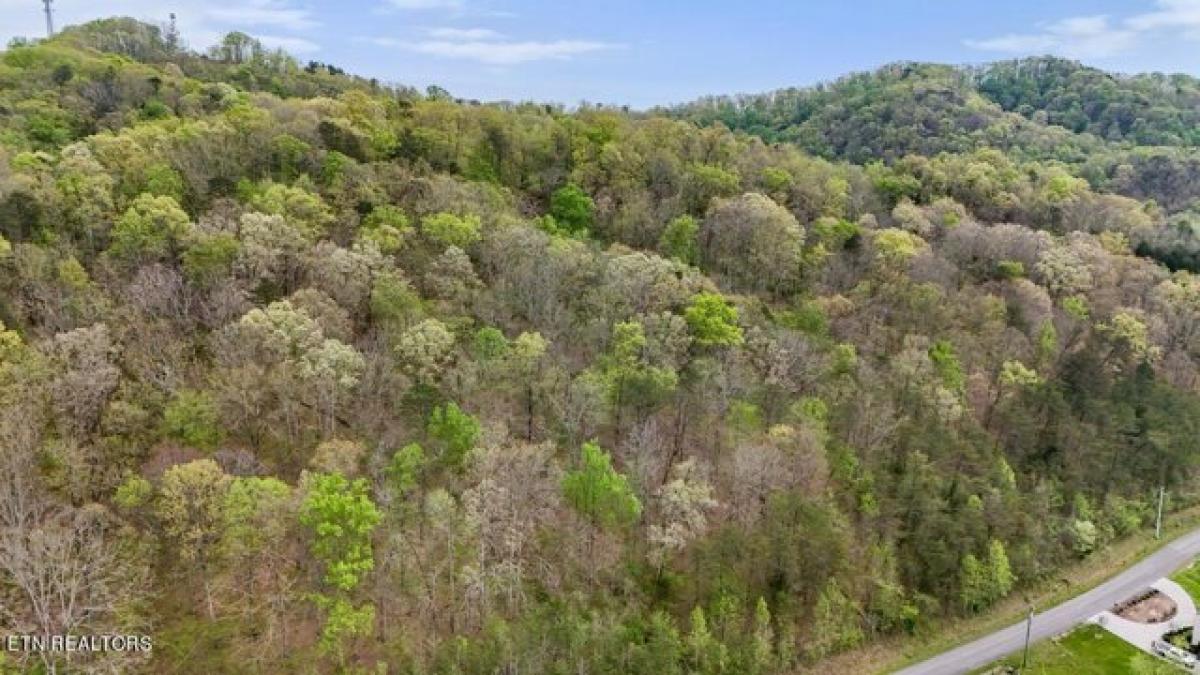 Picture of Residential Land For Sale in Heiskell, Tennessee, United States