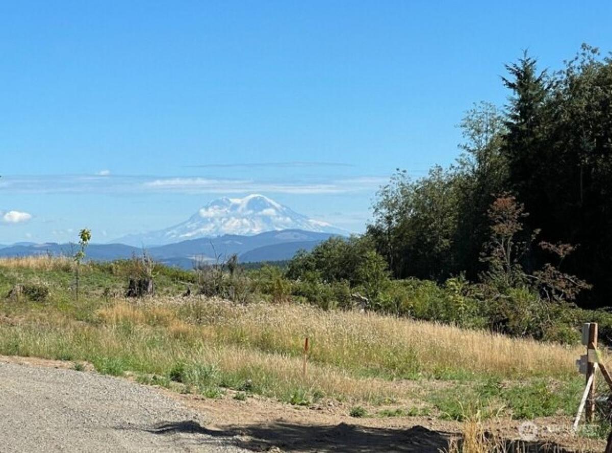 Picture of Residential Land For Sale in Castle Rock, Washington, United States