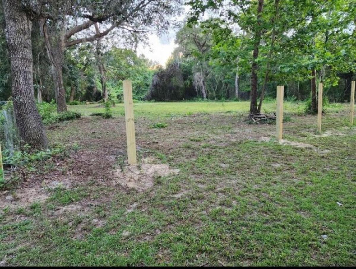 Picture of Residential Land For Sale in Silver Springs, Florida, United States