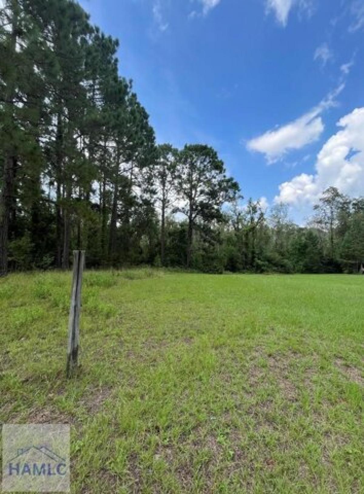 Picture of Residential Land For Sale in Blackshear, Georgia, United States