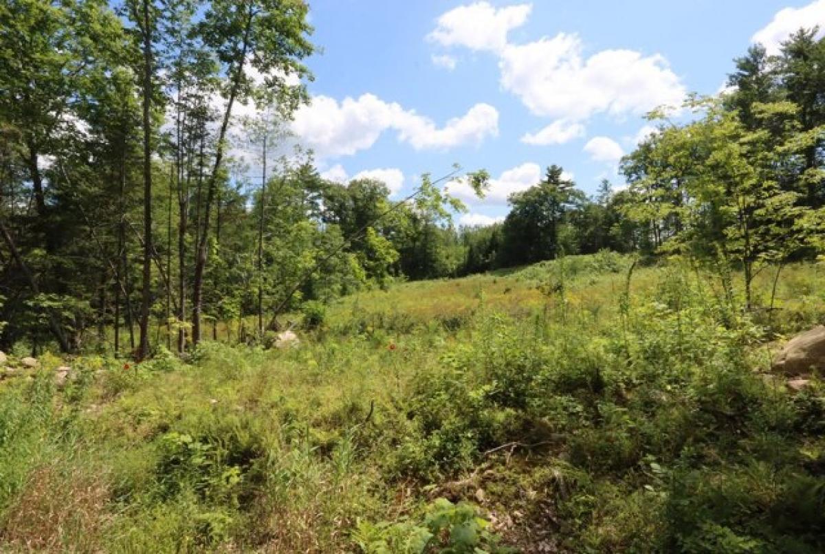 Picture of Residential Land For Sale in Greene, Maine, United States