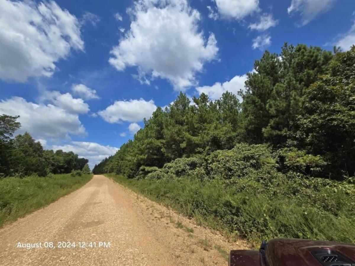 Picture of Residential Land For Sale in Bradford, Arkansas, United States