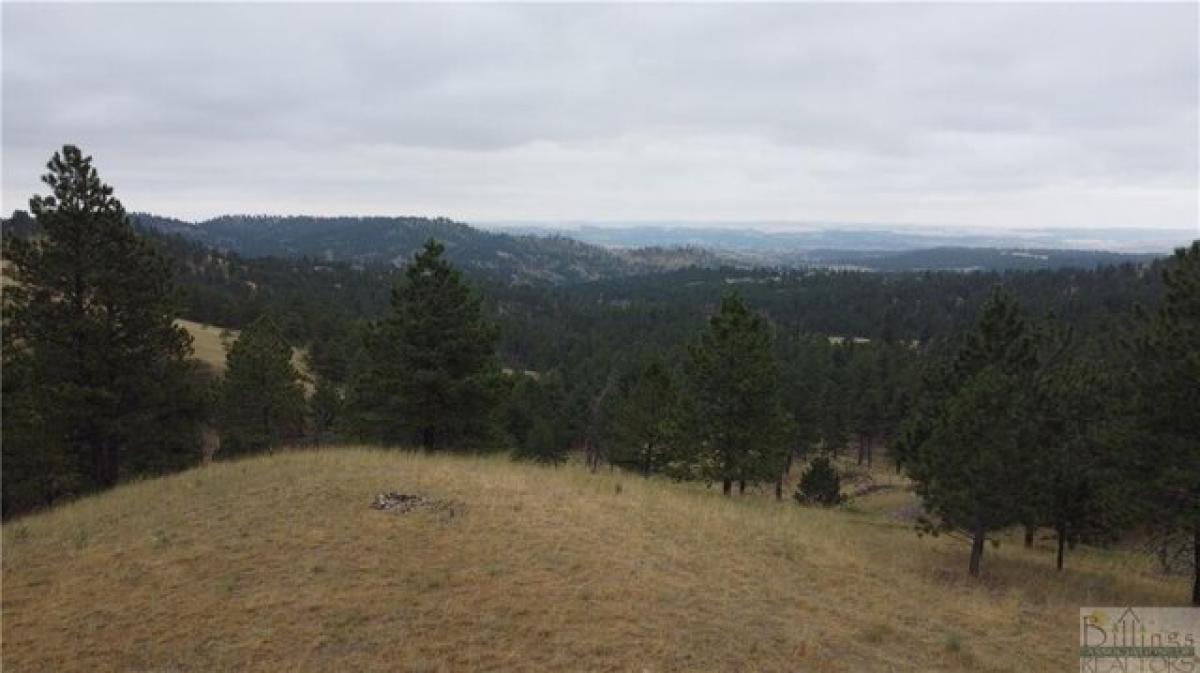 Picture of Residential Land For Sale in Columbus, Montana, United States