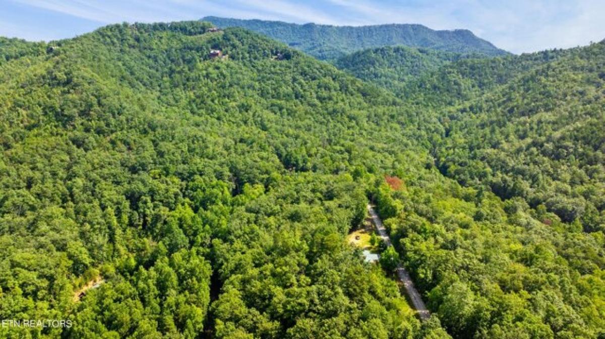 Picture of Residential Land For Rent in Sevierville, Tennessee, United States