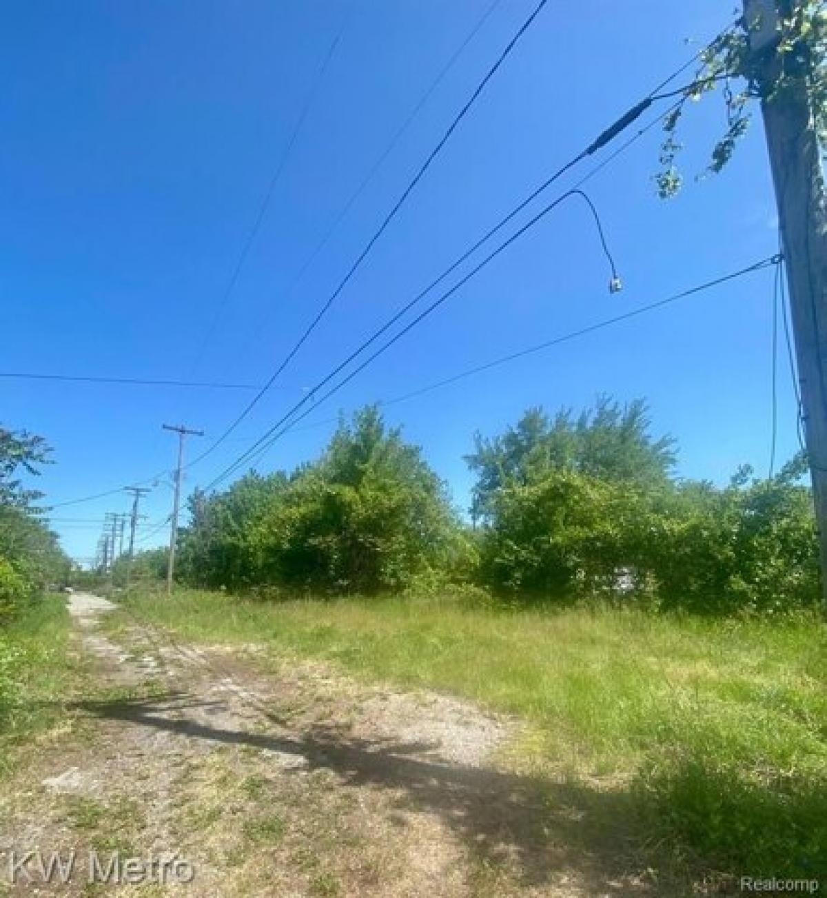 Picture of Residential Land For Rent in Detroit, Michigan, United States