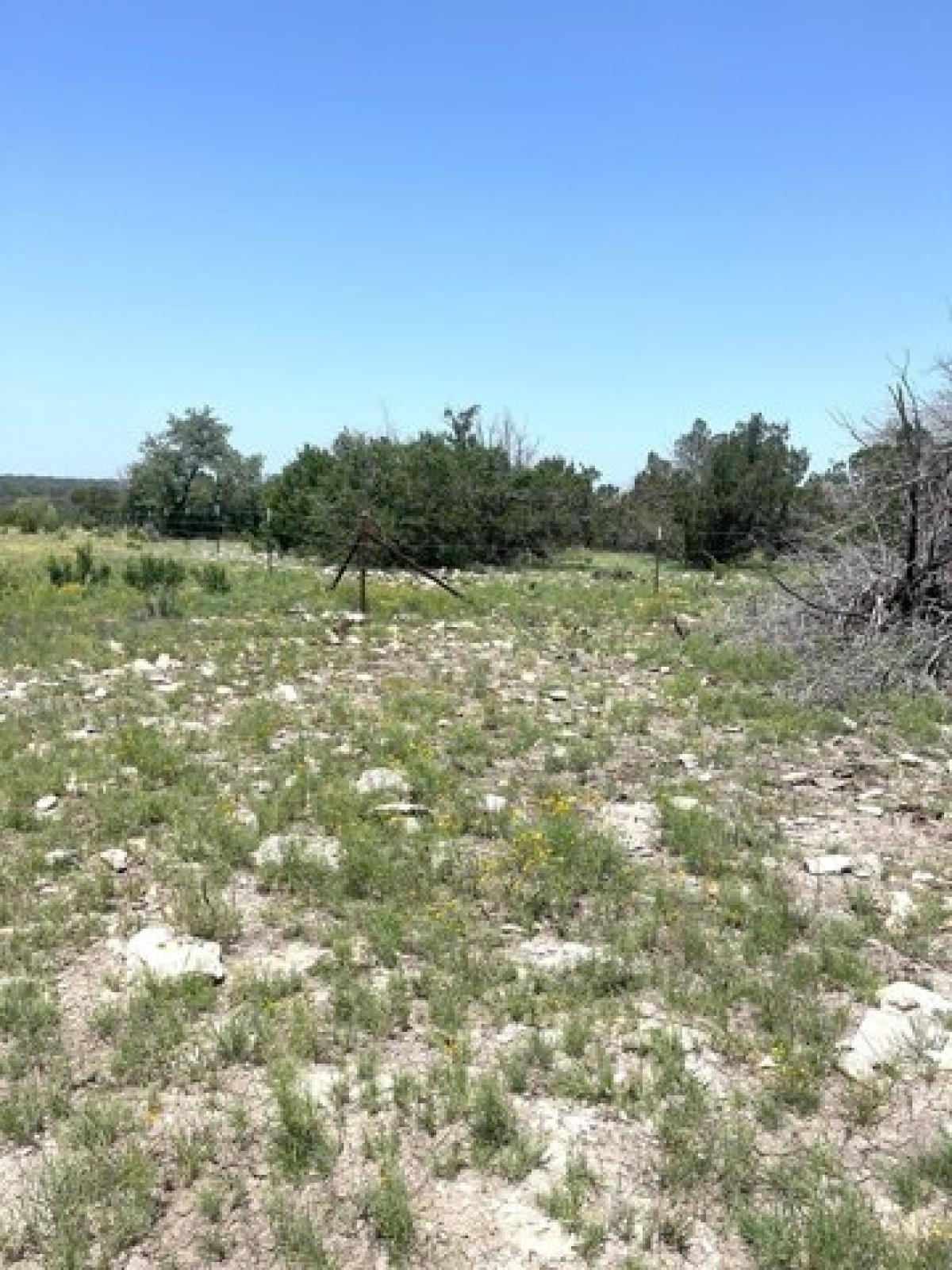 Picture of Residential Land For Sale in Rocksprings, Texas, United States