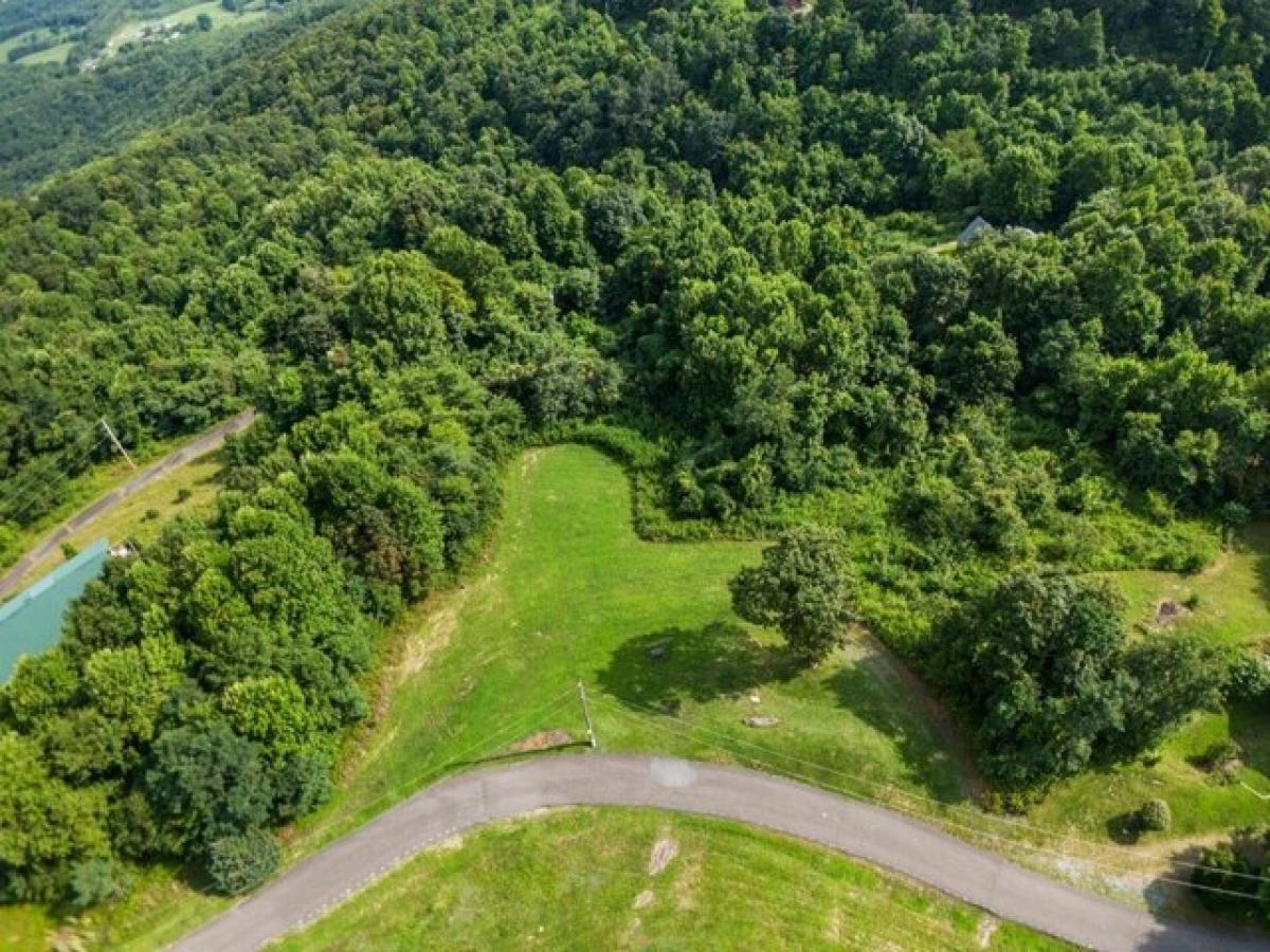 Picture of Residential Land For Sale in Fancy Gap, Virginia, United States