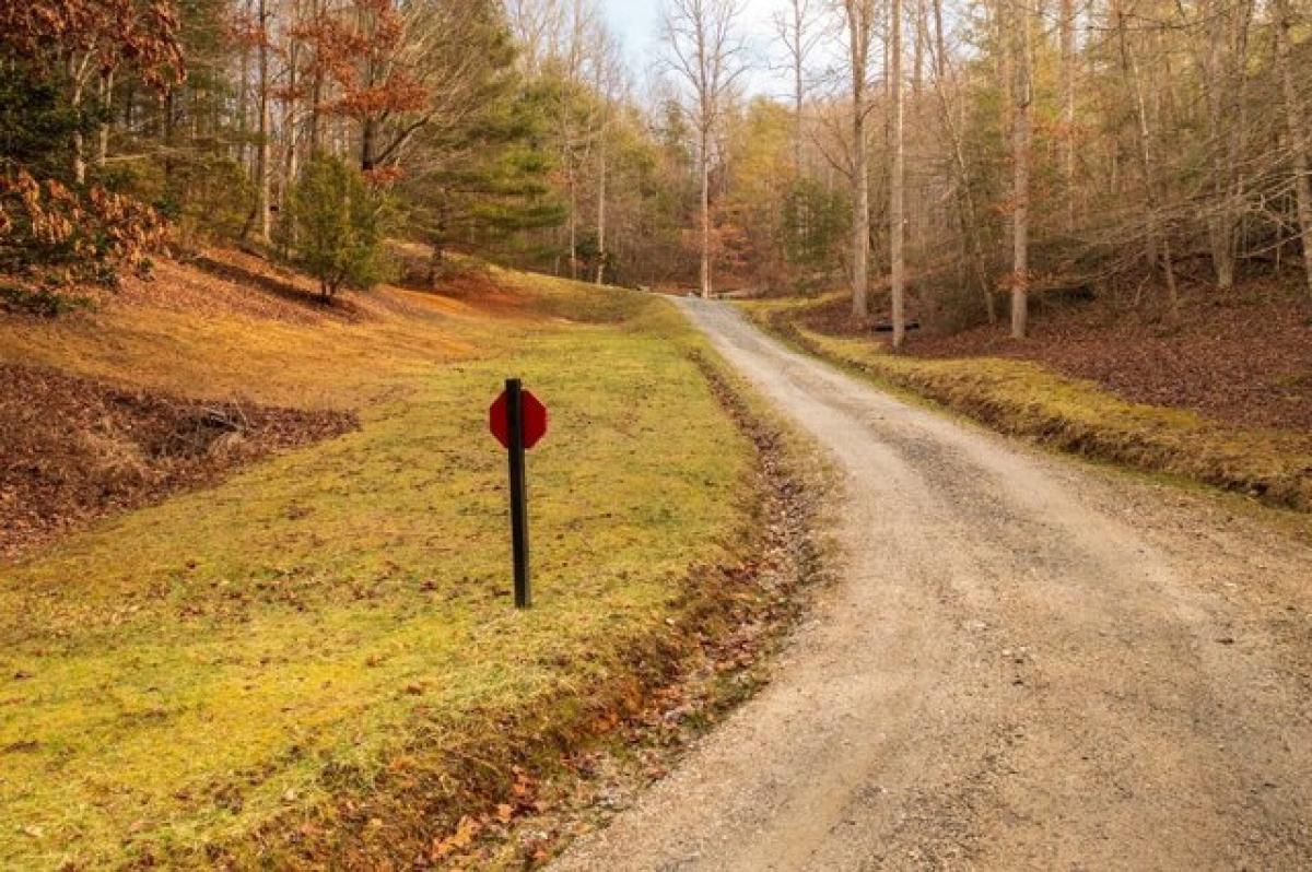 Picture of Residential Land For Sale in Topton, North Carolina, United States