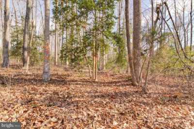 Residential Land For Sale in Montpelier, Virginia