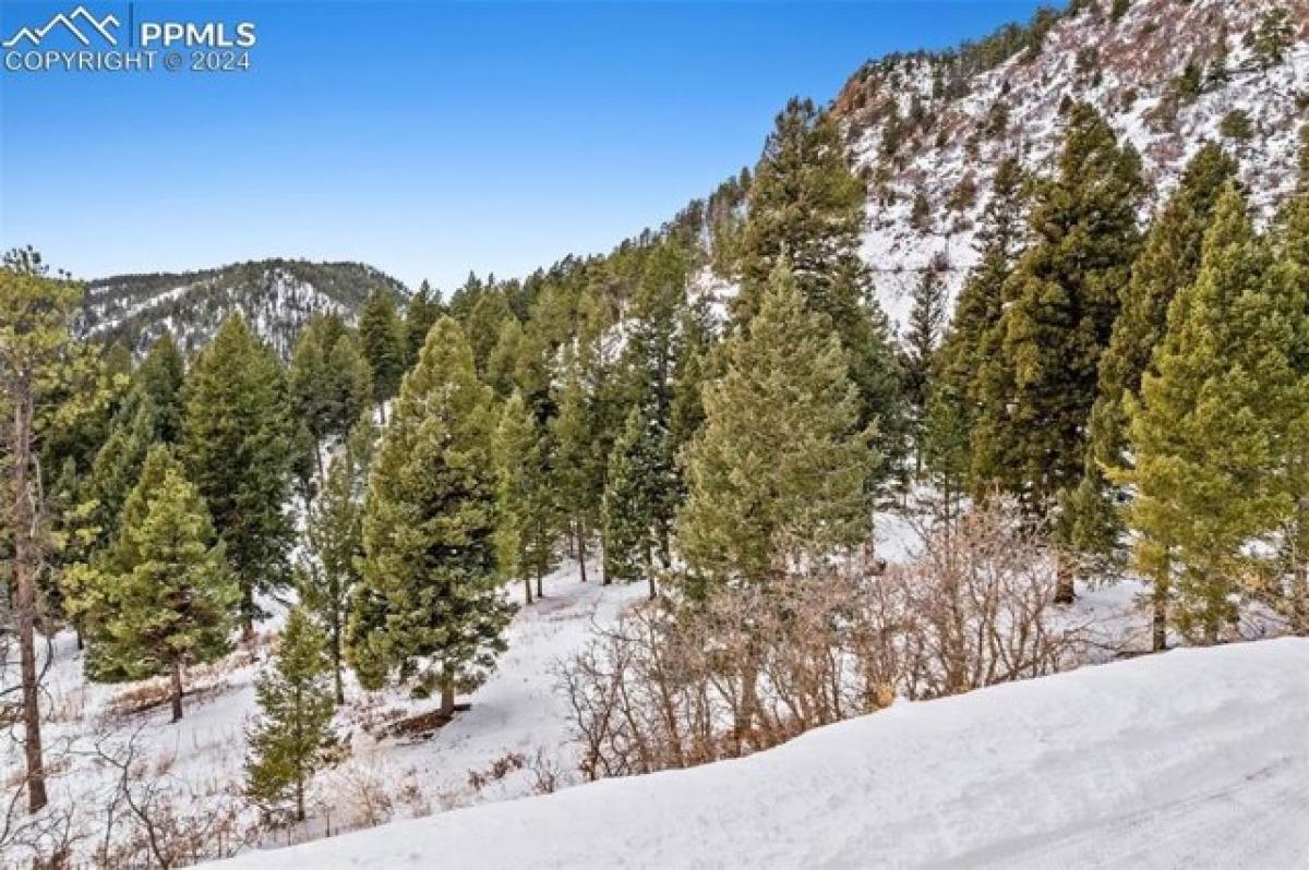 Picture of Residential Land For Sale in Larkspur, Colorado, United States